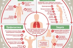 Основные сведения о туберкулезе