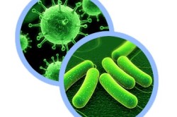Бактерии ВИЧ и туберкулеза